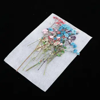 12x Farebné Stlačené Sušené Kvety, Listy DIY Kvetinový Umelecké Remeslo Svadobná Výzdoba