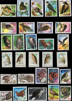  50Pcs/Veľa Vtákov Koristi Eagle Pečiatka Téma Všetky Odlišné Od Mnohých Krajinách Č Opakovať Poštových Známok s Post Známky Zber