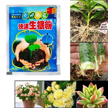  Bonsai Rastlín rýchly rast koreňového liekov, hormonálne regulátory pestovanie sadeníc obnovy klíčenie silu pomoci hnojivo Záhrada