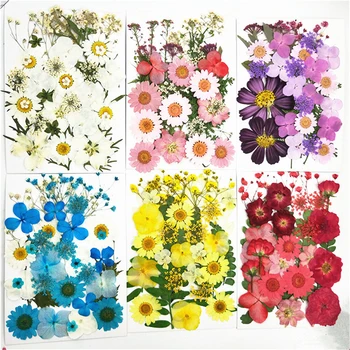  36pcs Stlačené Kvet Zmiešané Sušené Kvety DIY Umenie Kvetinový Dekoroch Kolekcie Darček
