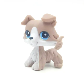  LPS MAČKA Staré pôvodné Živočíšne Littlest pet shop hračky Bobble hlavu psa #67 šedé a biele kóliu s modrými očami skutočné zriedkavé anime hračka
