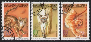  3ks/Set Bulharsko Post Pečiatky 1998 Pet Mačky Používajú Post Označené Poštových Známok na Zber