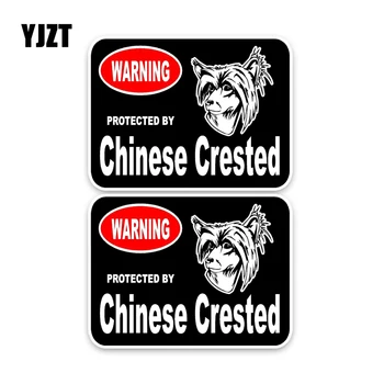  YJZT 15*11.4 CM 2X Čínsky Chochlaté strážny Pes Funny Auto Nálepky, Auto Okno Odtlačkový C1-4339