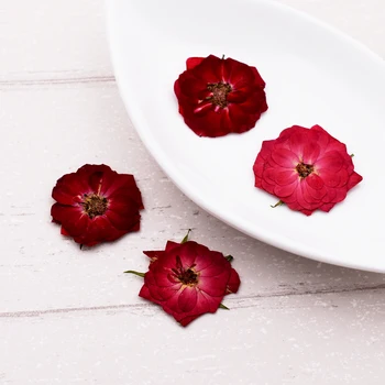  10pieces ruže kvet Prírodné Sušené Kvety DIY Stlačené Herbarium Kvet Dekoratívne Remesiel sklo svete výplň šperky zistenia