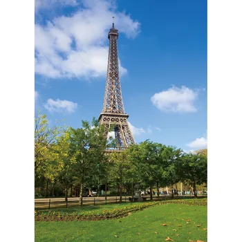  Eiffelova Veža Lúky Foto Pozadie Počítača Vytlačené Pozadie Fotografie Rekvizity pre Dieťa Deti Portrét Photocall Štúdio