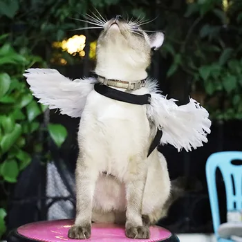  Pet Halloween Perie Krídel Pet Halloween Kostým Súťaž: Cosplay Anjel Diabol Krídlo Oblečenie Pre Psa, Mačku Festival Dodávky